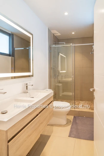 Exquisite penthouse for rent in Trou aux Biches