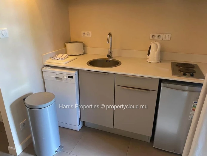 Magnificent RES apartment 50 meters from Trou aux Biches beach (Sole Mandate)