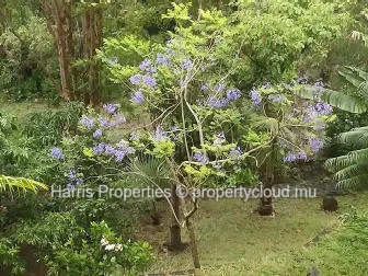 House For Sale – Rodrigues (Montagne Charlot / Soupir)