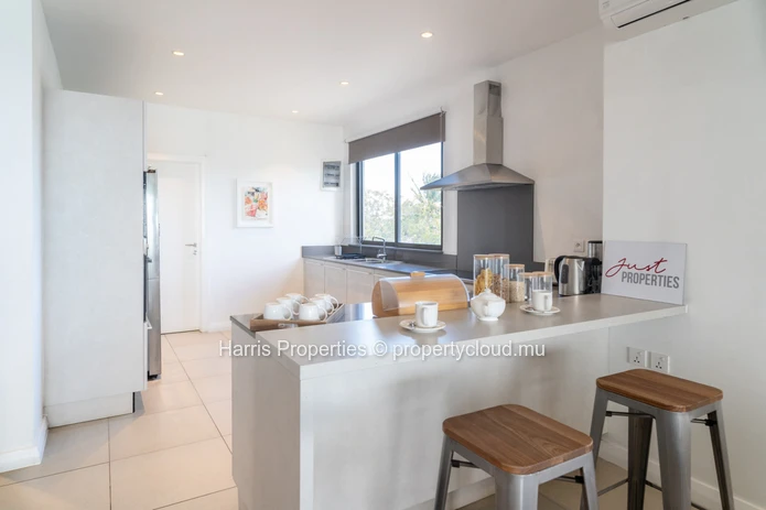 Exquisite penthouse for rent in Trou aux Biches
