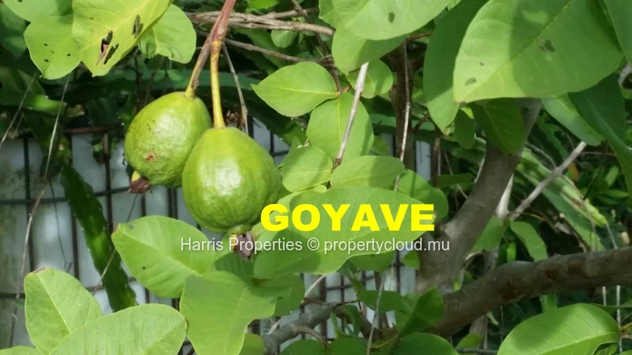 Residential Land of 35 Perches for Sale in Melville