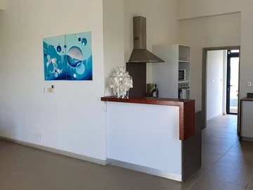 4 Bedroom Penthouse