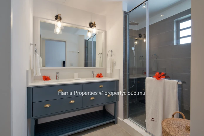 Magnificent luxury first floor apartment for rent in St Antoine