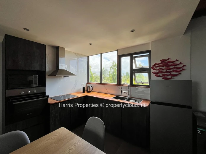 FOR SALE – 2 Penthouse-Style Duplexes with Rooftop Access – Bain Boeuf