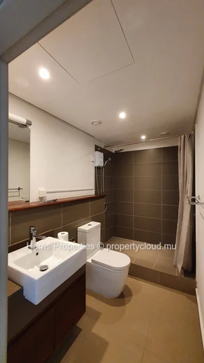 Beautiful penthouse with private rooftop for sale, in Cour Ambrée