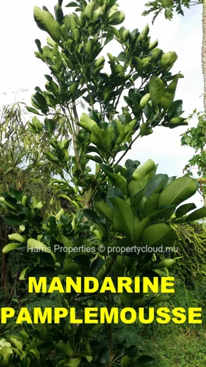 Residential Land of 35 Perches for Sale in Melville