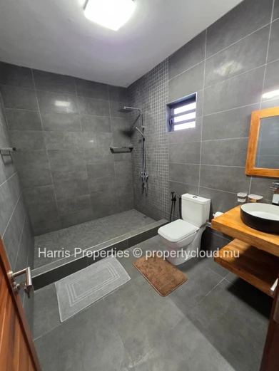 Stunning Modern Villa for Rent – Grand Gaube