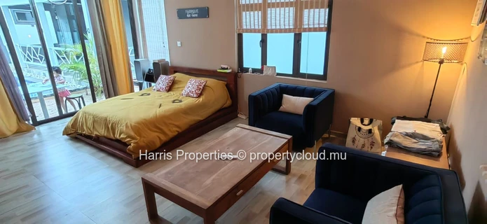 Grande et magnifique maison de 6 chambres avec deux studios à vendre