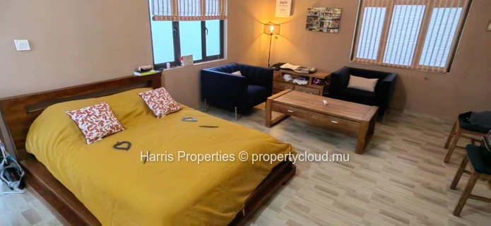 Grande et magnifique maison de 6 chambres avec deux studios à vendre